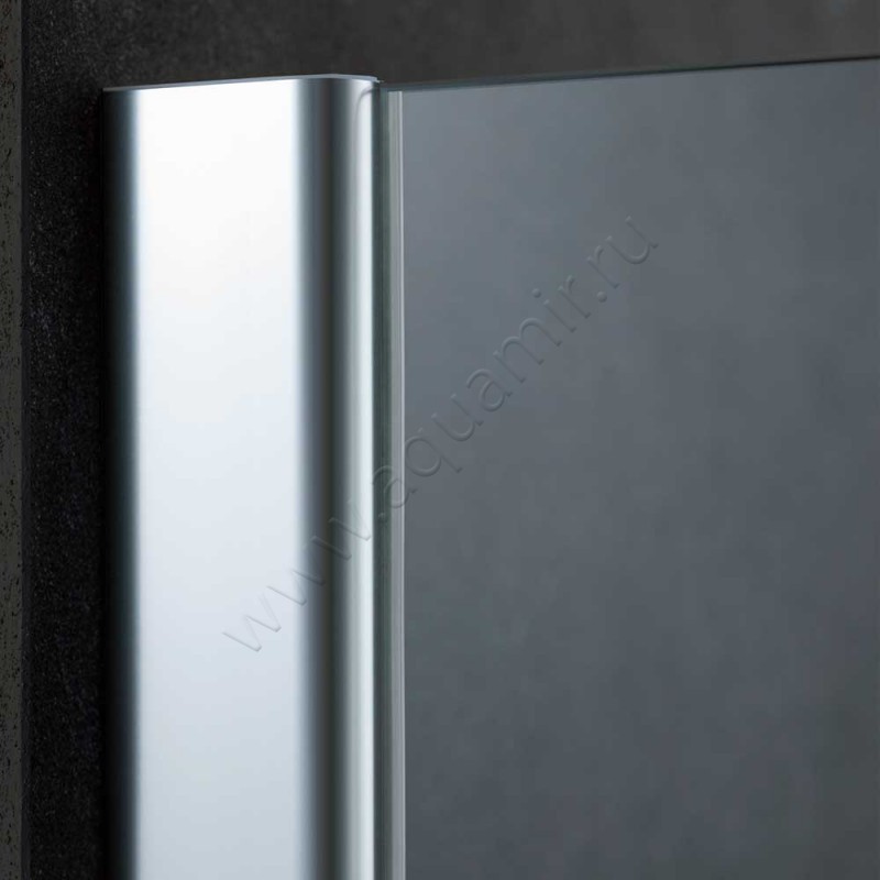 Маятниковая душевая дверь для комбинации с ответной частью Kermi Pasa XP PXEPR08020VAK в интерьере