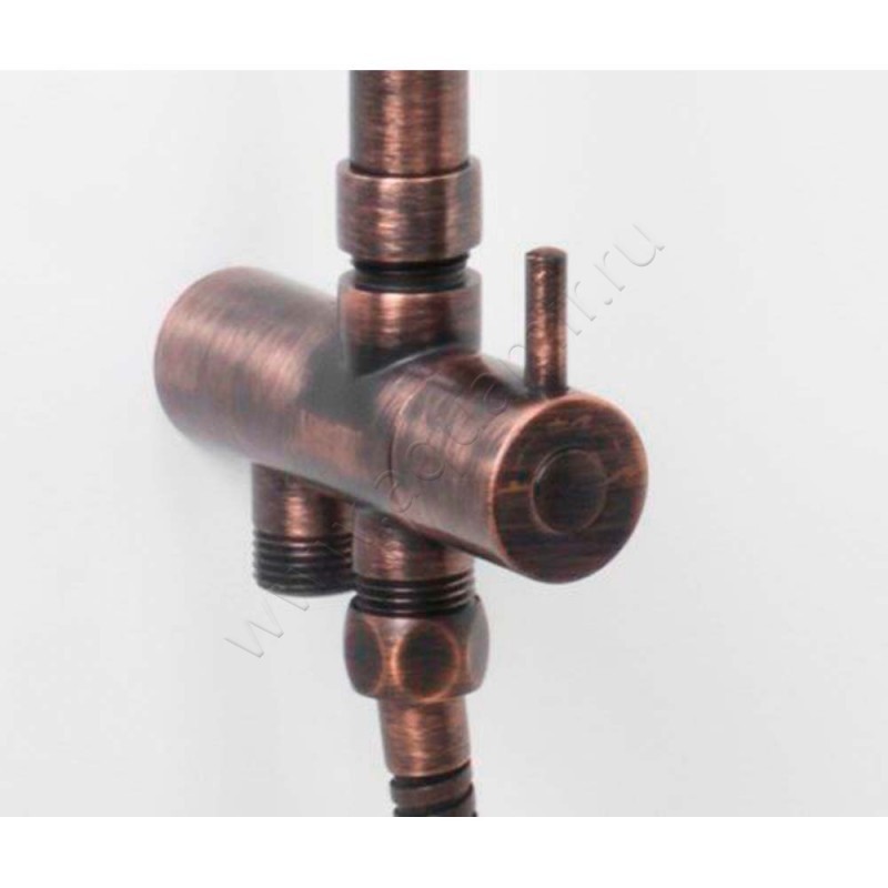 Душевая стойка Wasserkraft A041 в интерьере