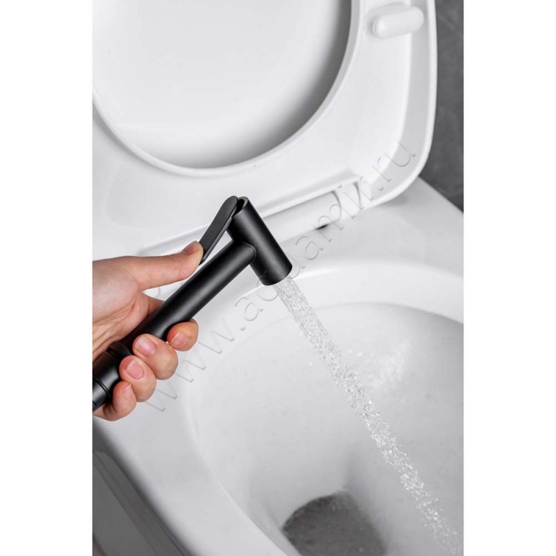 Гигиенический душ Allen Brau Priority со смесителем, черный 53100531 в интерьере