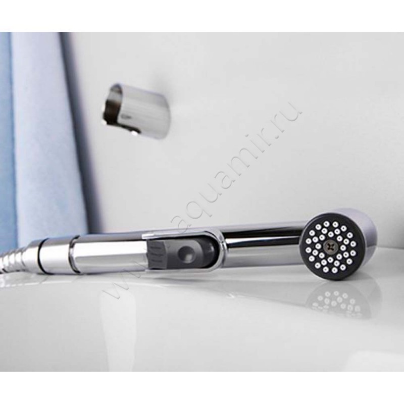 Гигиенический душ Wasserkraft хром A043 в интерьере