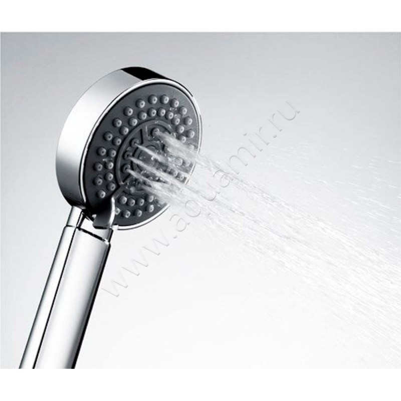 Душевая лейка Wasserkraft A035 в интерьере