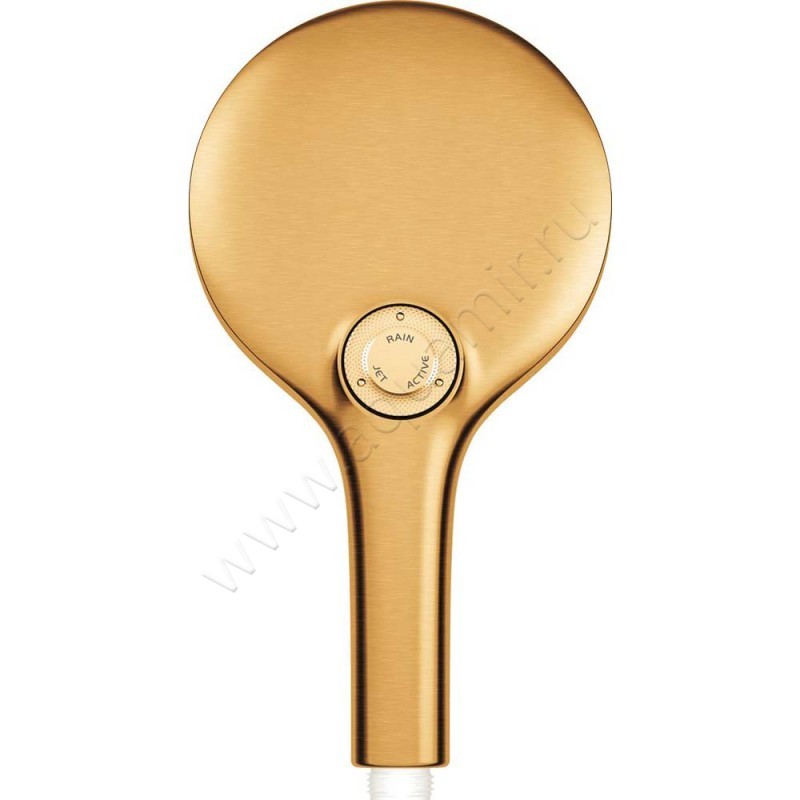 Душевая лейка Grohe Rainshower SmartActive 130 26574GN0 в интерьере