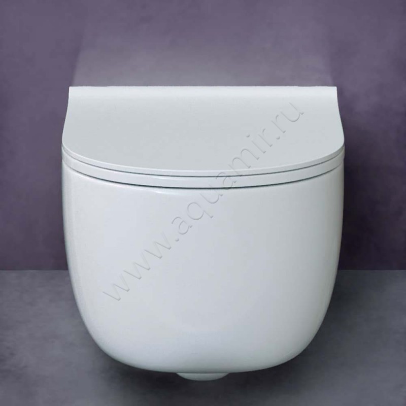 Унитаз подвесной Berges Wasserhaus Ego XL 082118 в интерьере