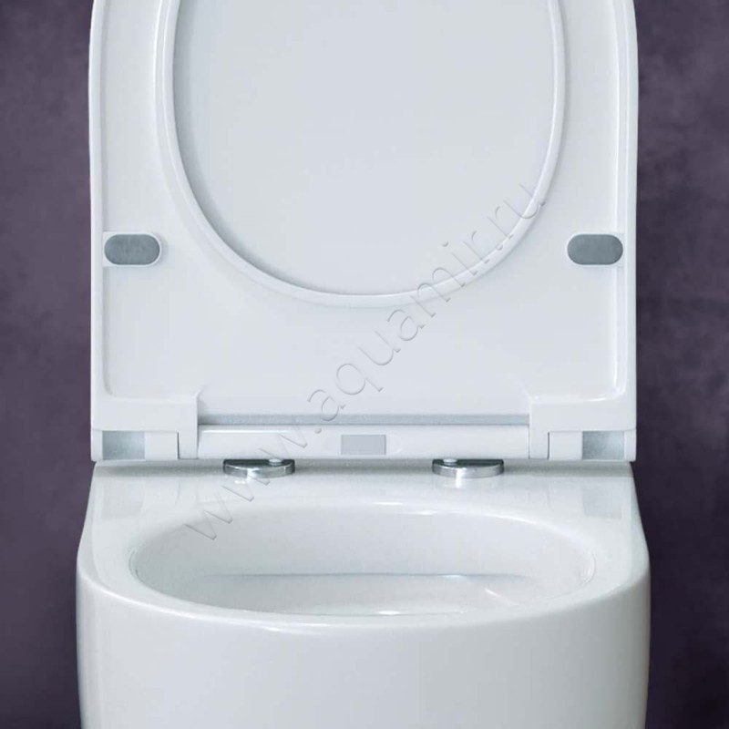 Унитаз подвесной Berges Wasserhaus Ego XL 082118 в интерьере