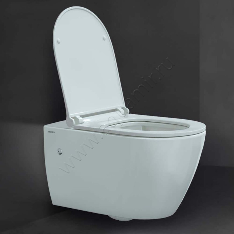 Унитаз подвесной Berges Wasserhaus Mascon 082128 в интерьере