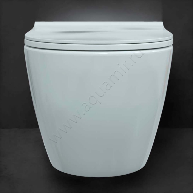 Унитаз подвесной Berges Wasserhaus Mascon 082128 в интерьере