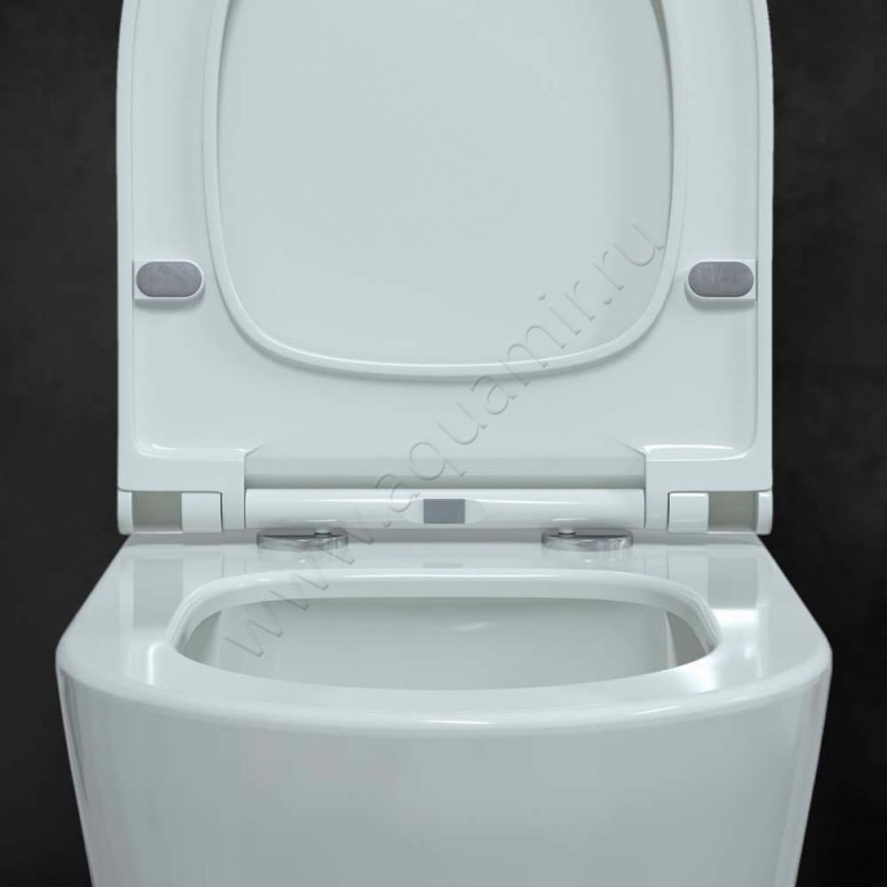 Унитаз подвесной Berges Wasserhaus Mascon 082128 в интерьере