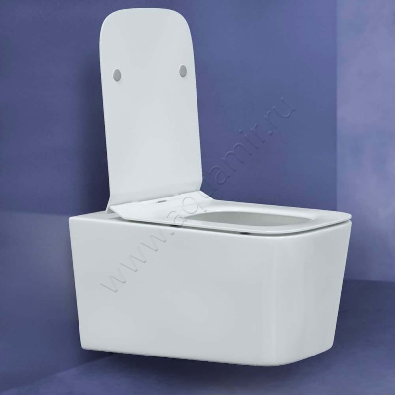 Унитаз подвесной Berges Wasserhaus Floe 082121 в интерьере