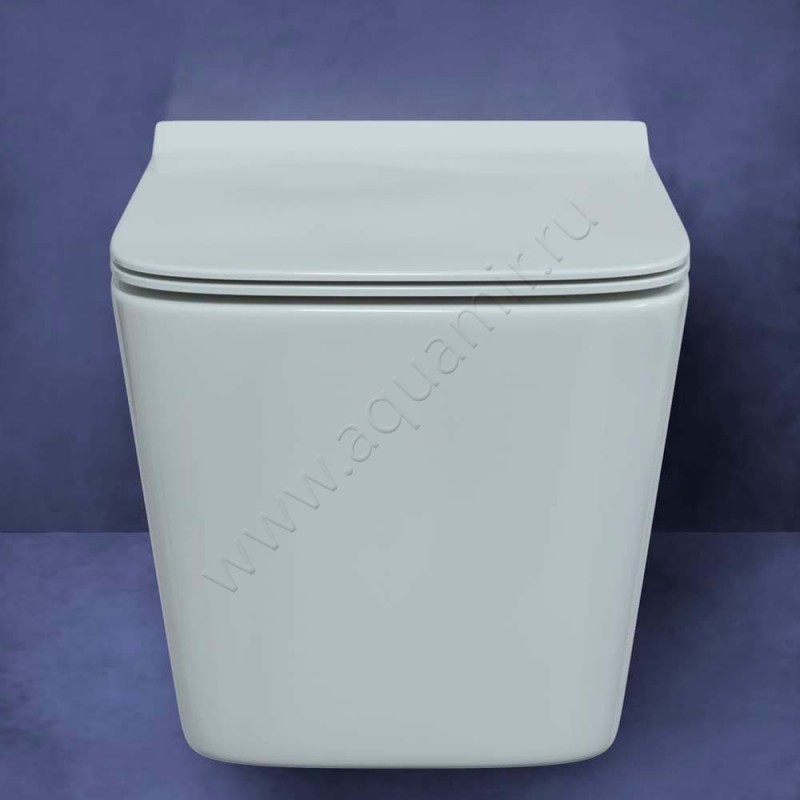 Унитаз подвесной Berges Wasserhaus Floe 082121 в интерьере