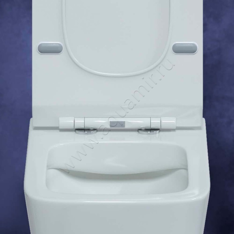 Унитаз подвесной Berges Wasserhaus Floe 082121 в интерьере