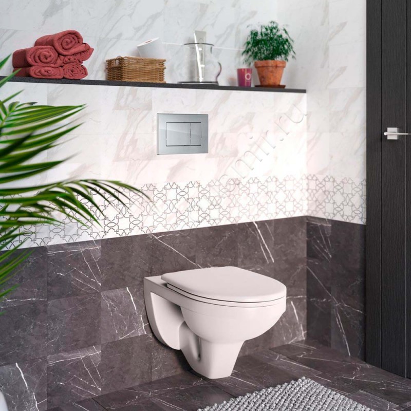 Унитаз подвесной Berges Wasserhaus Gamma 081105 в интерьере