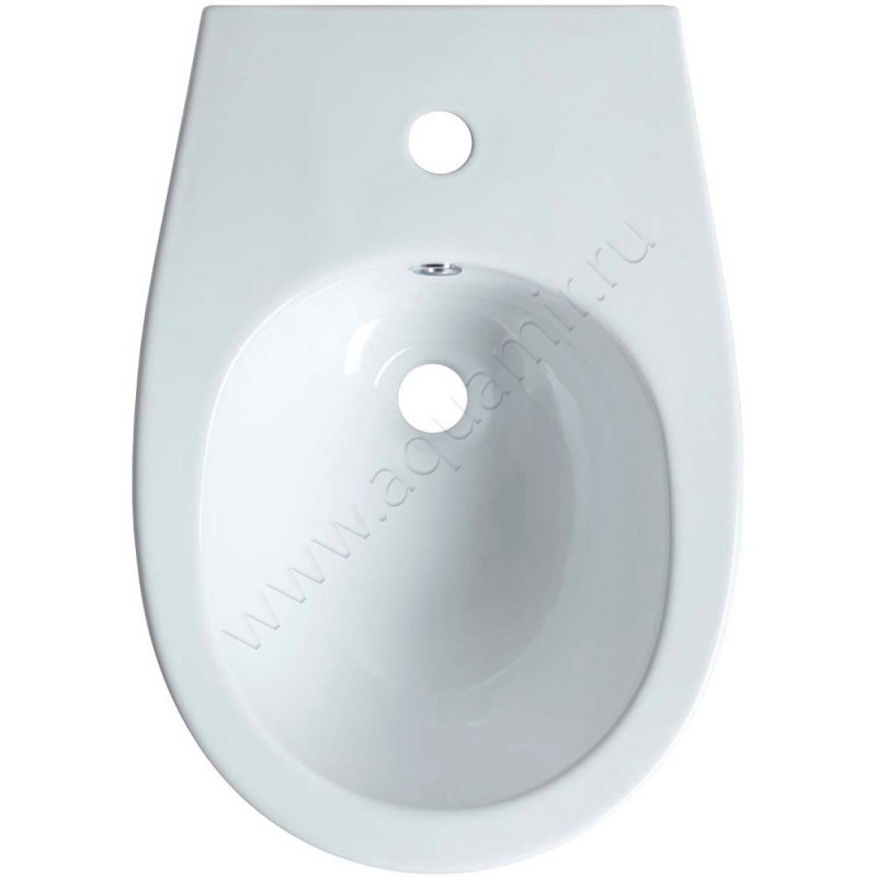 Биде подвесное Allen Brau Fantasy 41100620 в интерьере