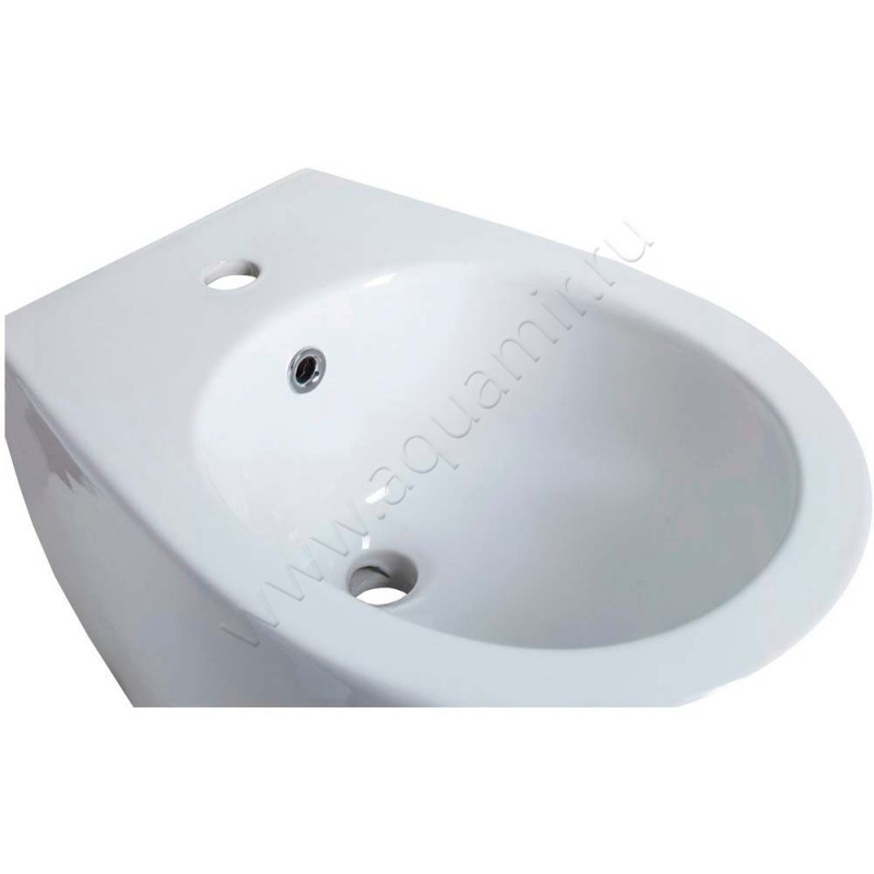 Биде подвесное Allen Brau Fantasy 41100620 в интерьере