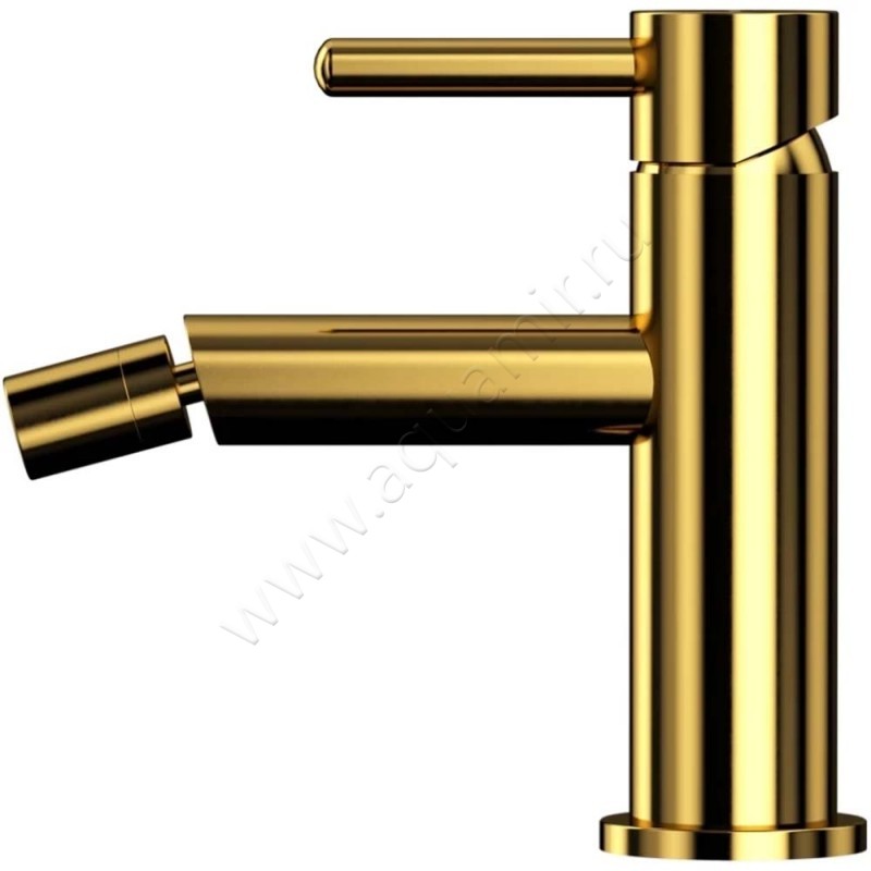 Смеситель для биде Omnires Y золото Y1220GL в интерьере