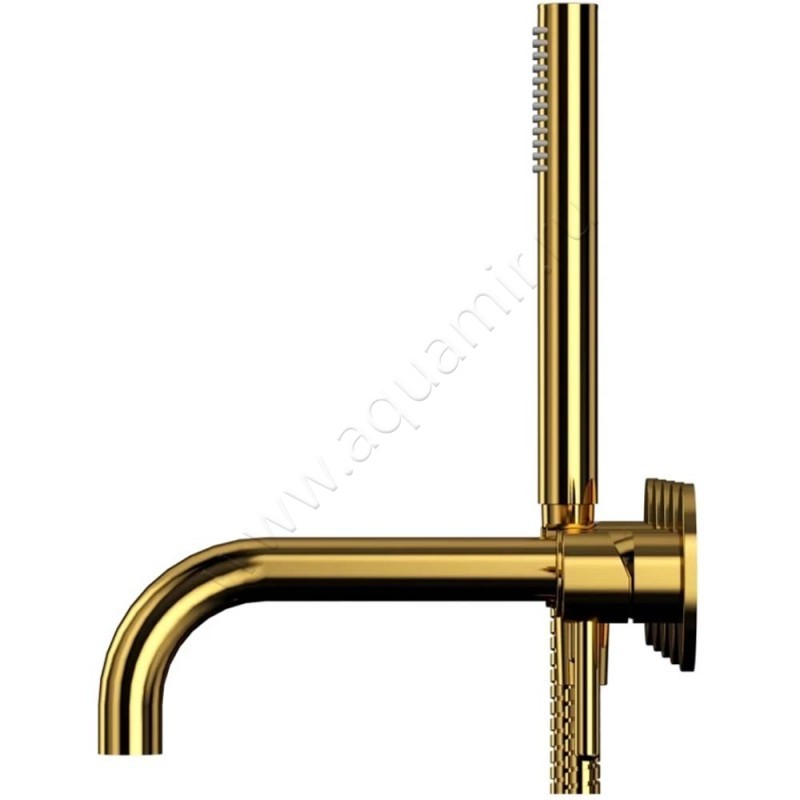 Смеситель для душа Omnires Y золото Y1240GL в интерьере