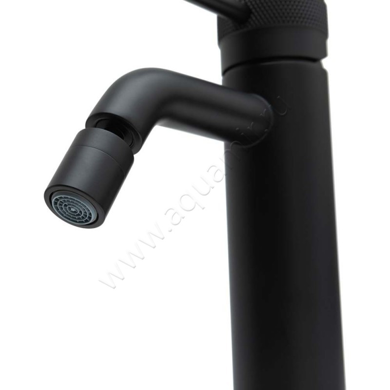 Смеситель для биде Allen Brau Priority черный матовый 531A0431 в интерьере