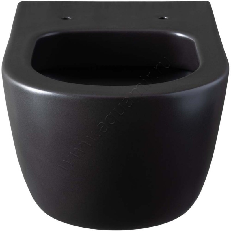 Унитаз подвесной Allen Brau PRIORITY 54,5 см, безободковый, черный матовый 43100131 в интерьере