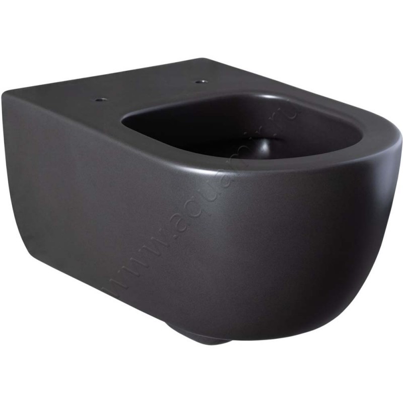 Унитаз подвесной Allen Brau PRIORITY 54,5 см, безободковый, черный матовый 43100131 в интерьере