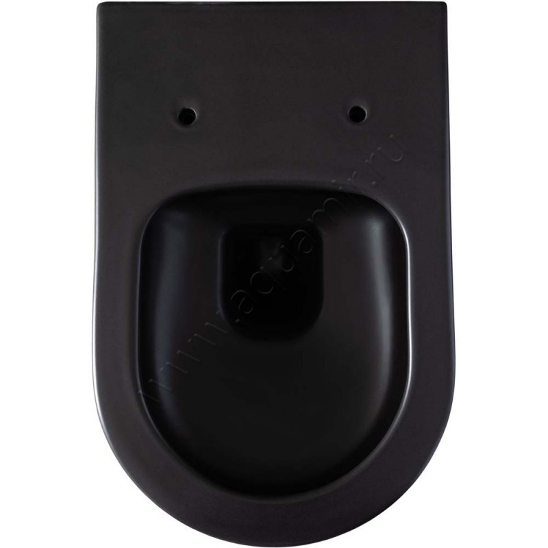 Унитаз подвесной Allen Brau PRIORITY 54,5 см, безободковый, черный матовый 43100131 в интерьере