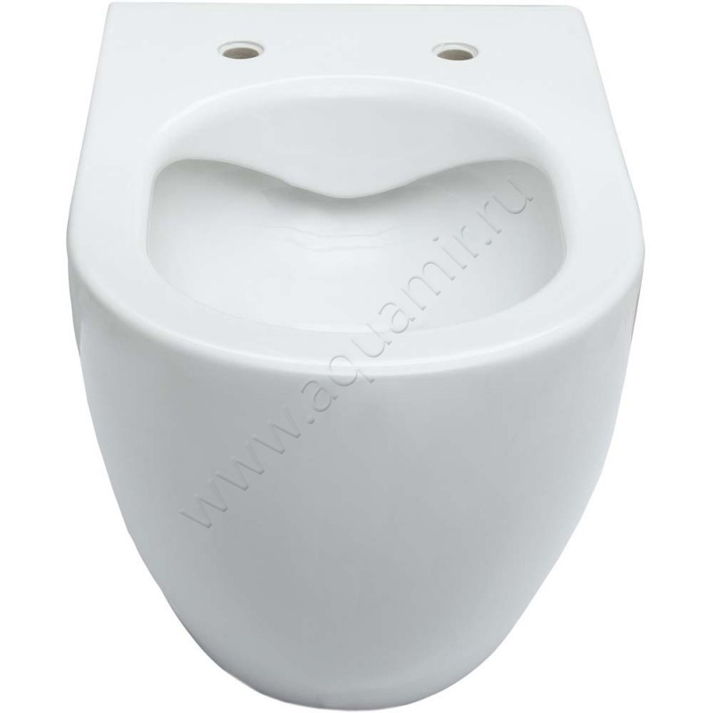 Унитаз подвесной Allen Brau REALITY 53 см, безободковый, белый, с покрытием 43200620 в интерьере