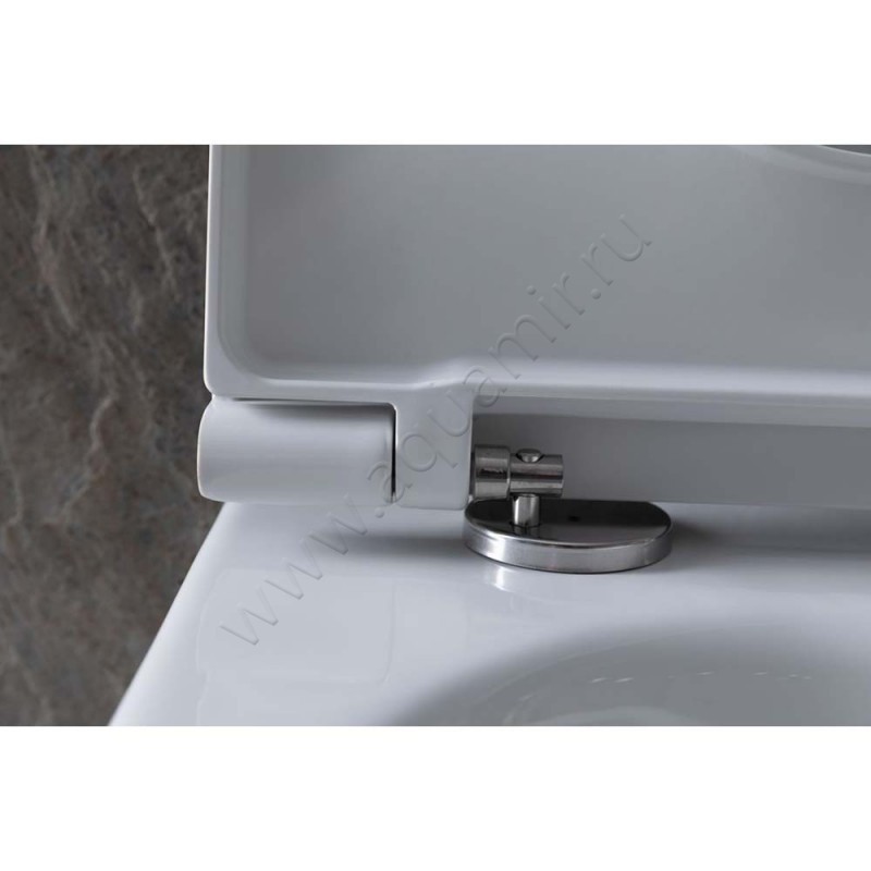 Унитаз подвесной Allen Brau REALITY 53 см, безободковый, белый, с покрытием 43200620 в интерьере