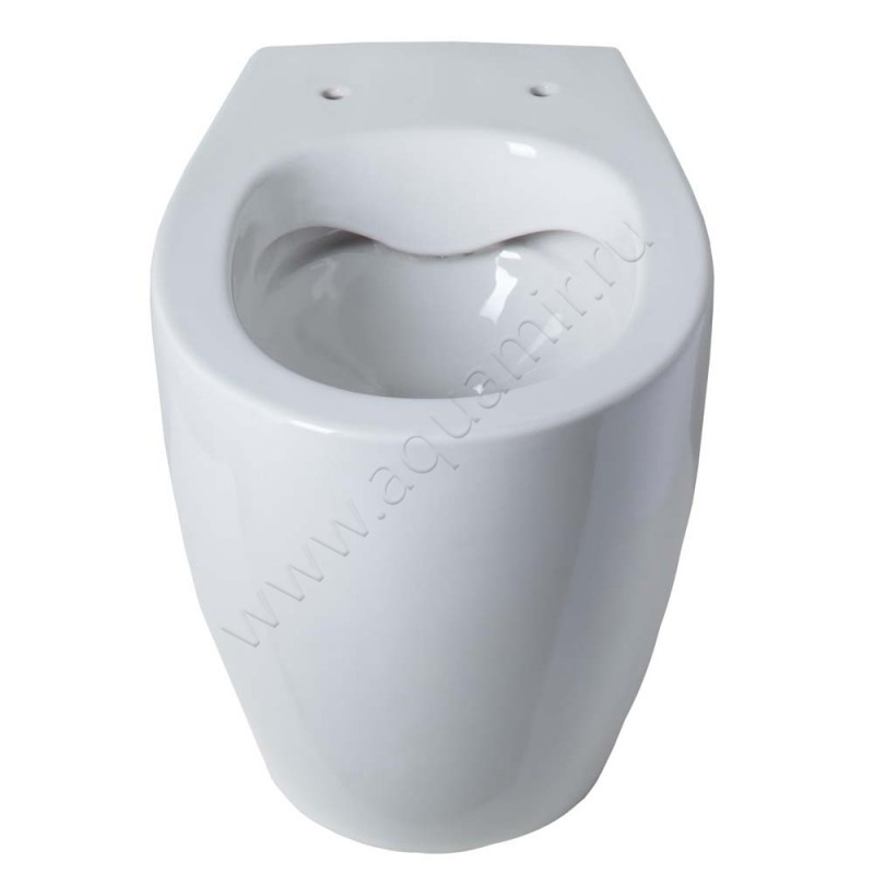 Унитаз приставной Allen Brau FANTASY с крышкой микролифт, 52 см, безободковый, белый 4110072041100520 в интерьере