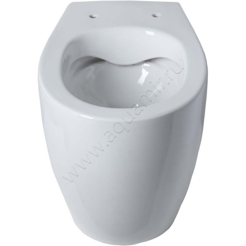 Унитаз приставной Allen Brau FANTASY с крышкой микролифт, 52 см, безободковый, белый 4110072041100520 в интерьере