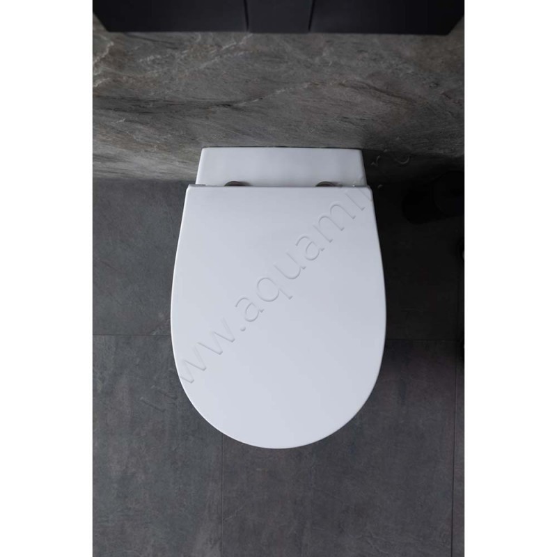 Унитаз приставной Allen Brau FANTASY с крышкой микролифт, 52 см, безободковый, белый 4110072041100520 в интерьере