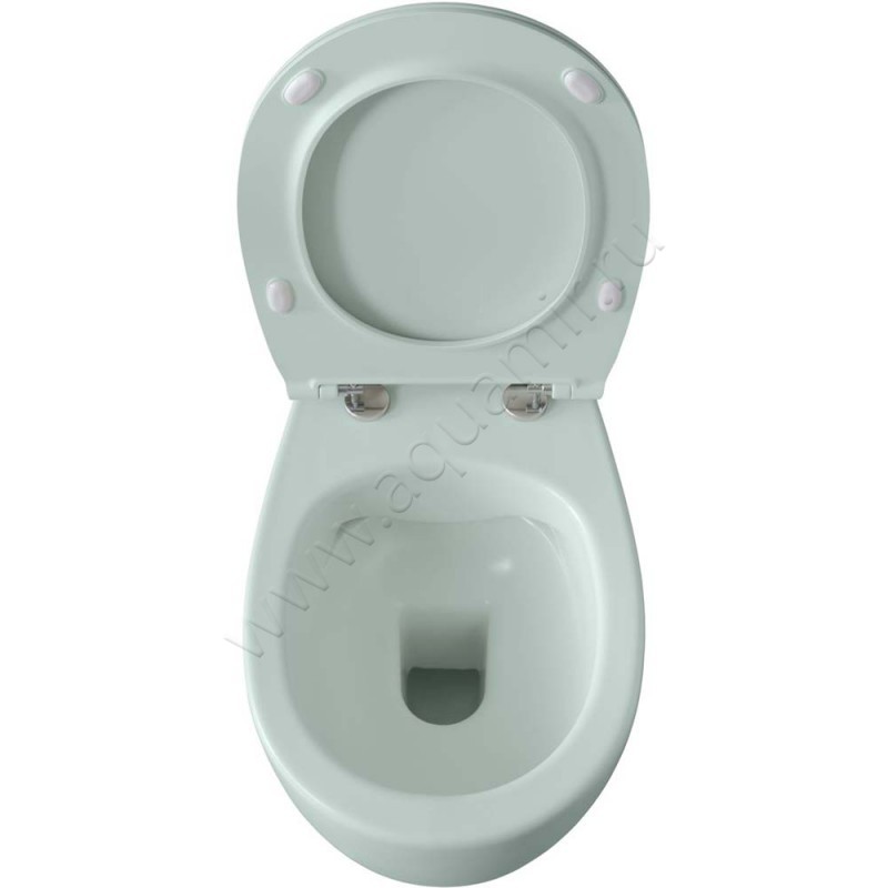 Унитаз подвесной Allen Brau FANTASY с крышкой микролифт, 51 см, безободковый, зеленый матовый 411004MT411005MT в интерьере