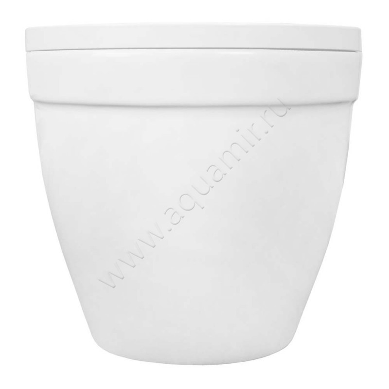 Унитаз подвесной Azario FORA с крышкой микролифт, 52 см, безободковый, белый AZ0017UQ1 в интерьере