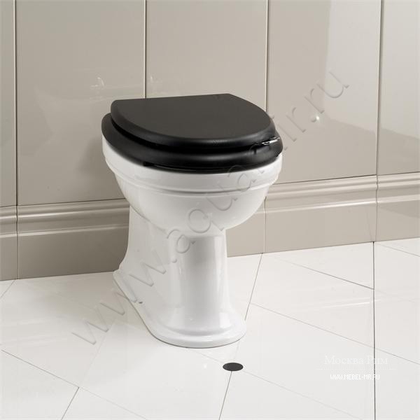 Унитаз приставной Devon & Devon BLUES с крышкой, 51,8 см, белый IBWCBLUESBTW3IBSEWENROCR в интерьере