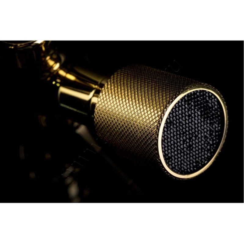 Смеситель для биде Boheme Royal Cristal золото 296ROYALCRSTBLACK в интерьере
