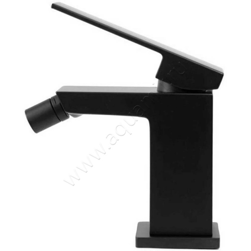 Смеситель для биде Webert Pegaso черный матовый PE840102560 в интерьере