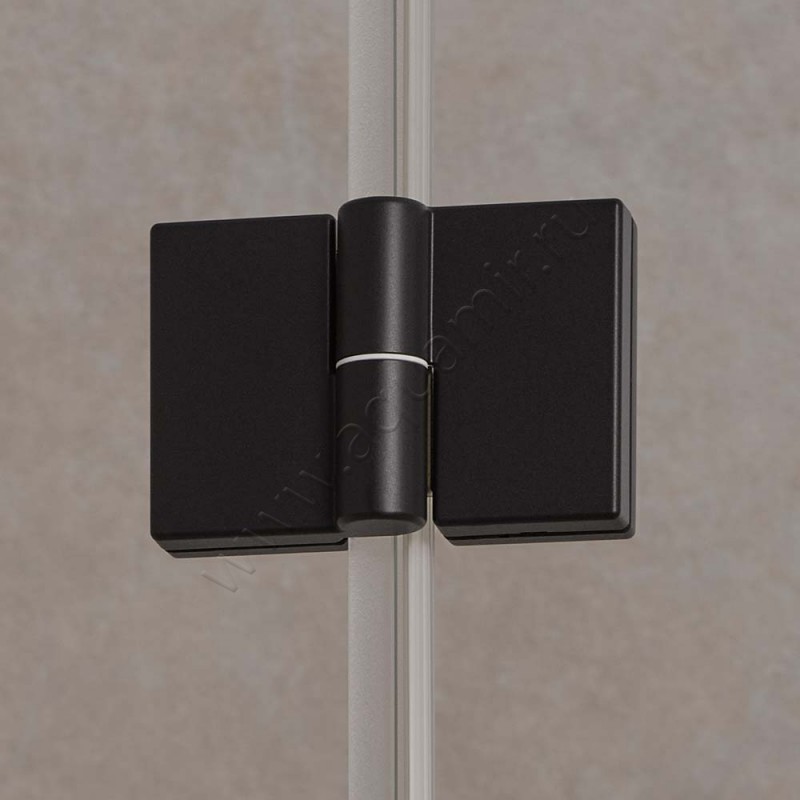 Поворотная душевая дверь для боковой стенки Kermi Liga LISNR100203PK в интерьере