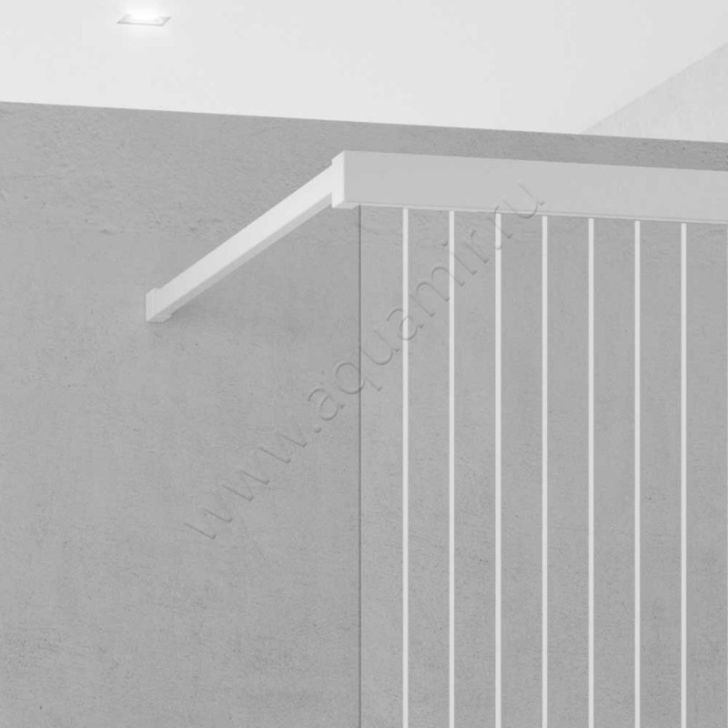 Душевая перегородка Walk In Kermi Nica NIJ2R1202044K в интерьере