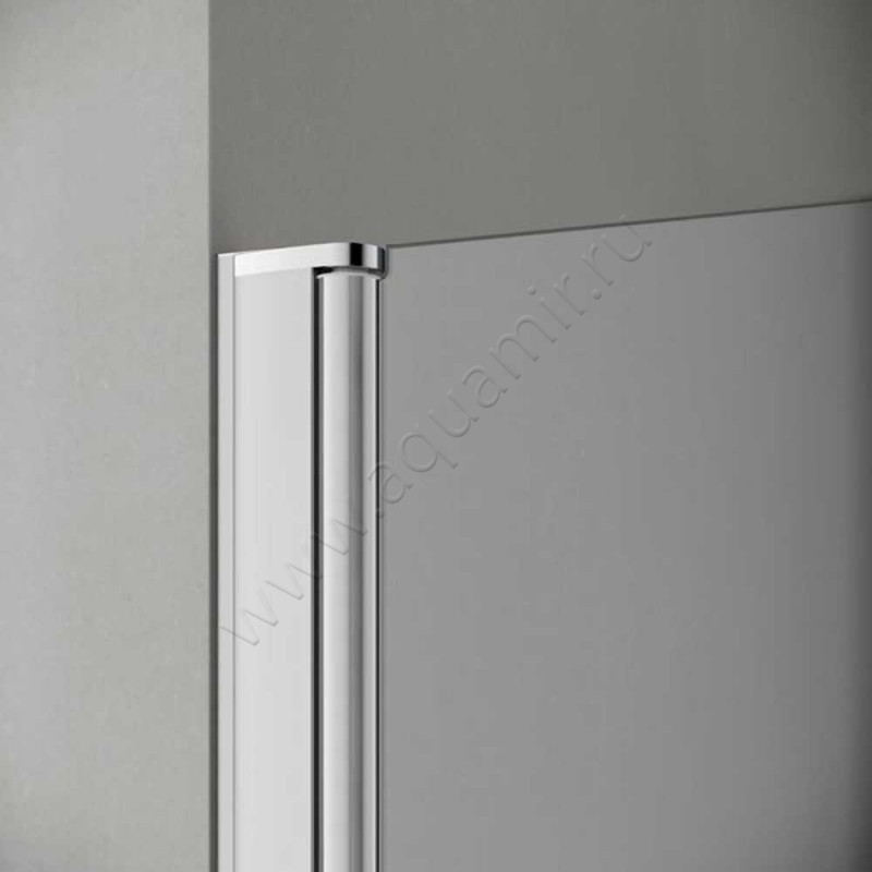 Душевая боковина для двери Kermi Pega PETWO11020VPK в интерьере