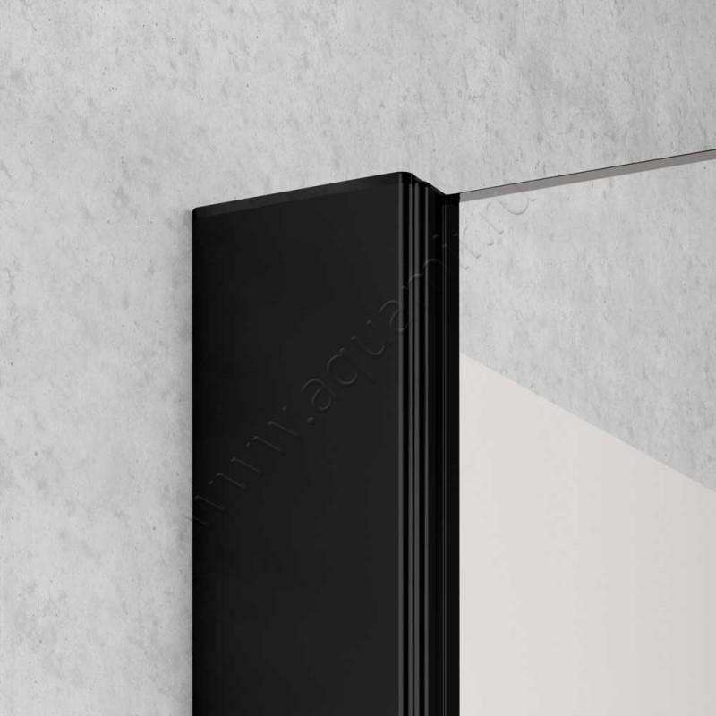 Душевая стенка Kermi Liga LITWP100203PK в интерьере