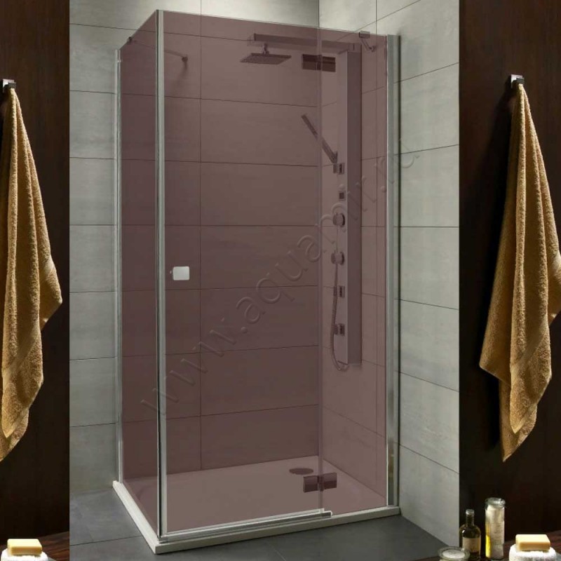 Душевой уголок с поворотной дверью и фиксированной боковиной Radaway Almatea KDJ 32102-01-08NR