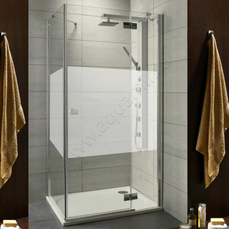 Душевой уголок с поворотной дверью и фиксированной боковиной Radaway Almatea KDJ 32102-01-12NR