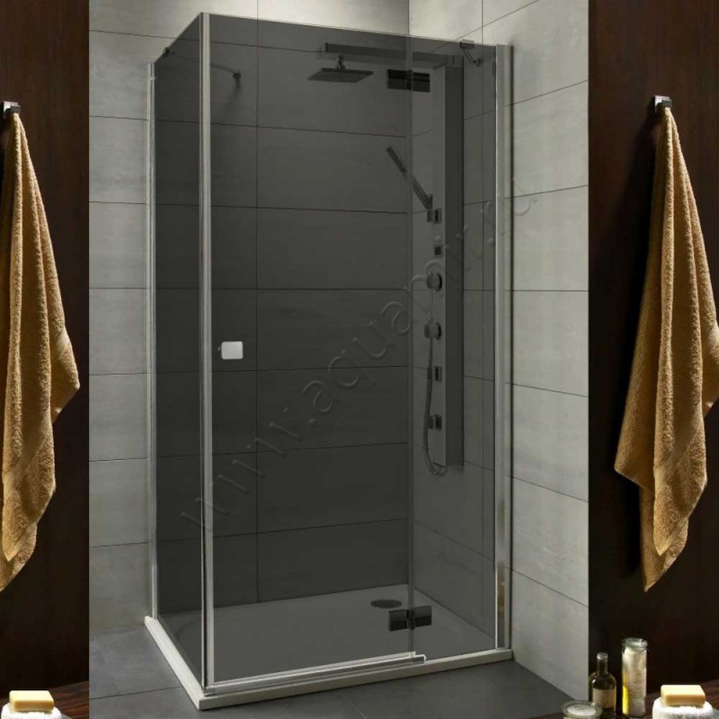 Душевой уголок с поворотной дверью и фиксированной боковиной Radaway Almatea KDJ 32147-01-05NR