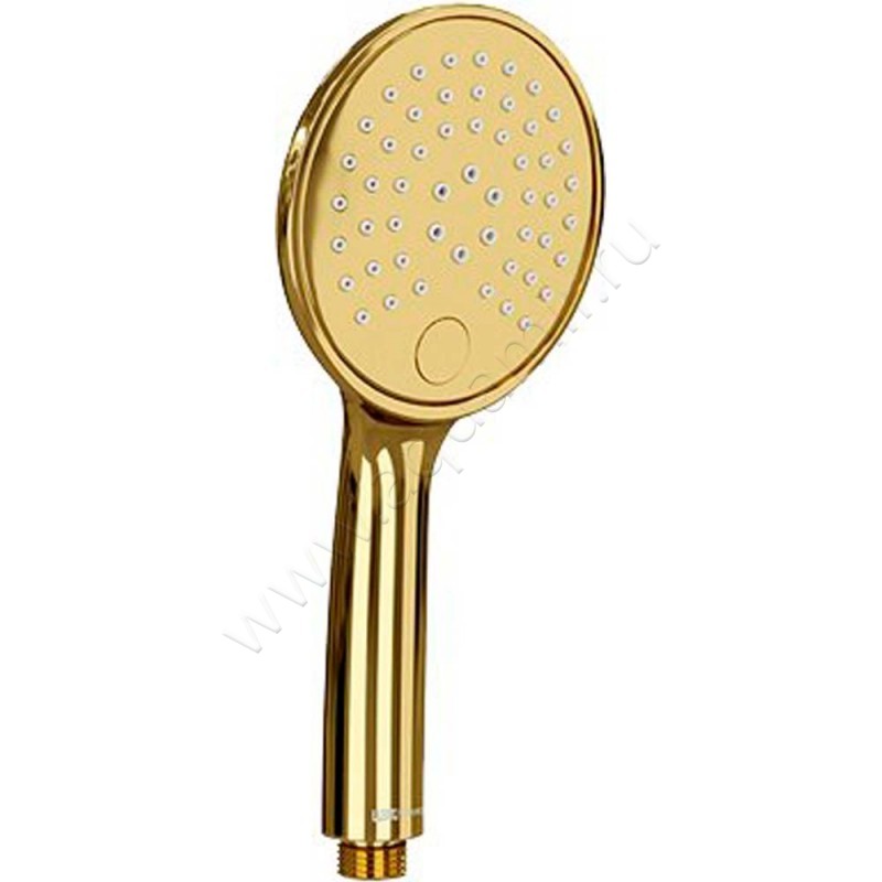 Душевая лейка Wasserkraft Sauer A207