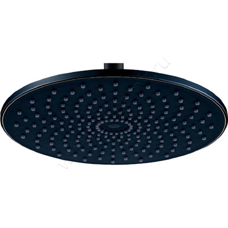 Верхний душ Berges Wasserhaus Nardis 072004