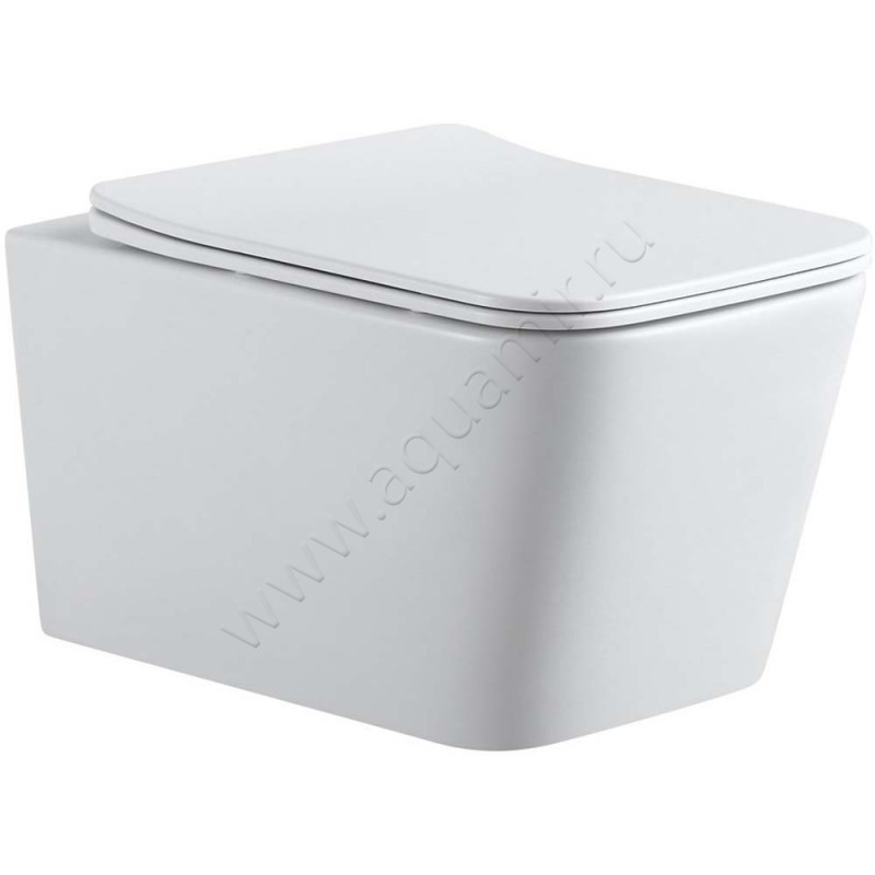 Унитаз подвесной Aquanet TAVR с крышкой микролифт, 51,5 см, безободковый, белый 00243545
