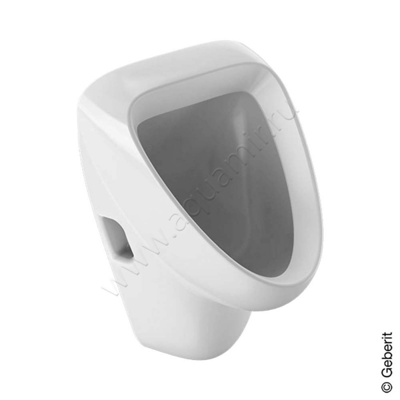 Писсуар Geberit Aller 236500000