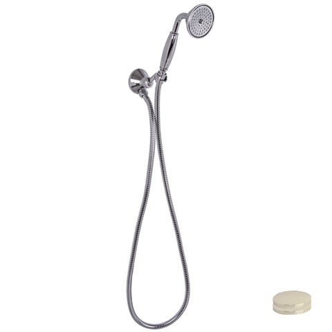 Душевой гарнитур Carlo Frattini Wellness никель F2287/7SN