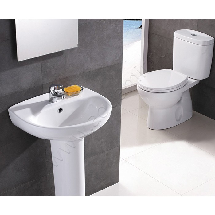 Раковина подвесная Roca Victoria 56 см 7.3273.9.300.Y