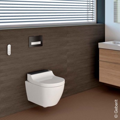      Geberit AQUACLEAN   , 55 , / (146294SJ1)