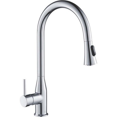    Timo Saona (233600FL)