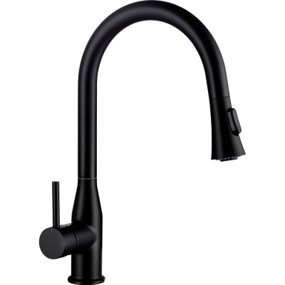    Timo Saona (233603FL)