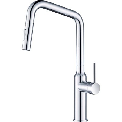    Timo Saona (238600FL)